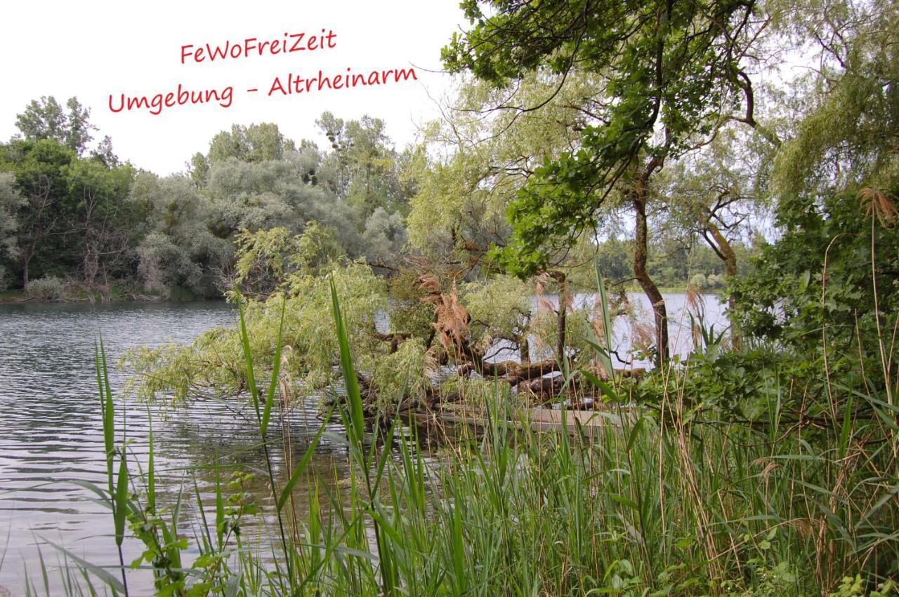 Fewofreizeit Rheinau Eksteriør billede
